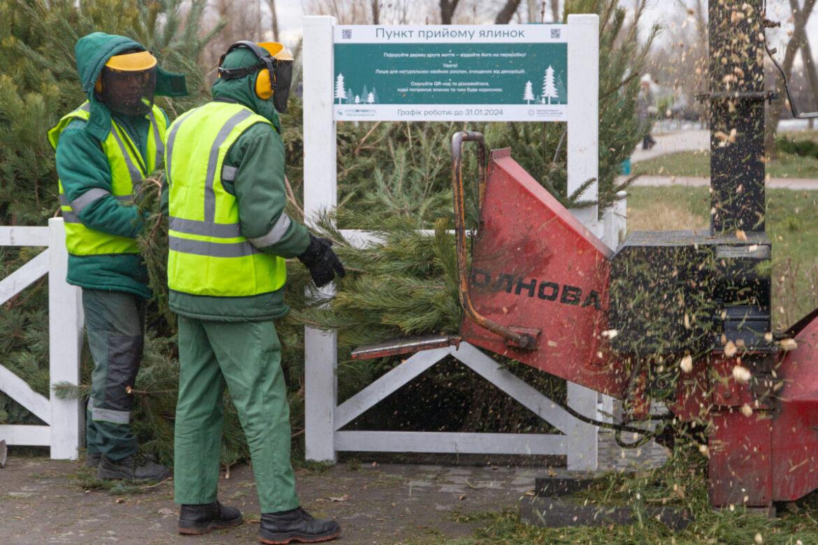 В столице начнут работать центры утилизации елок.