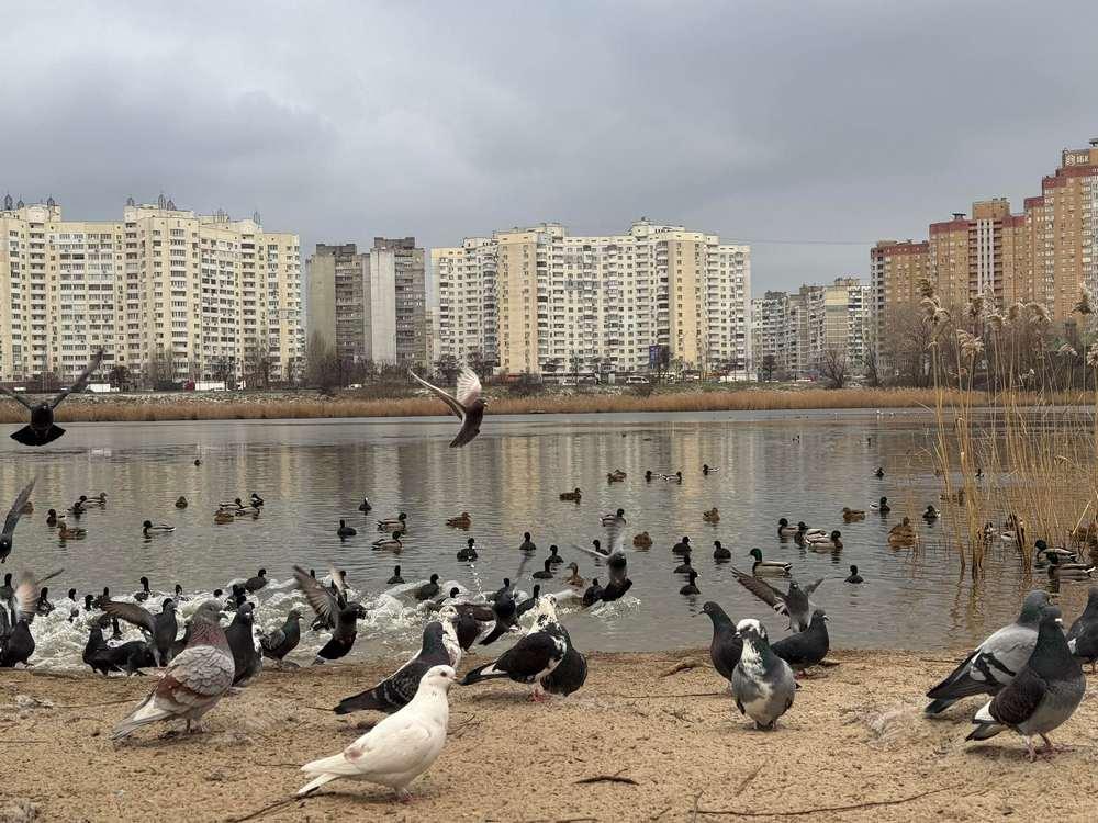 Погода на воскресенье: в столице значительно потеплеет.