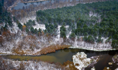 У Чорнобильському заповіднику виявили незаконні рубки та розорювання земель